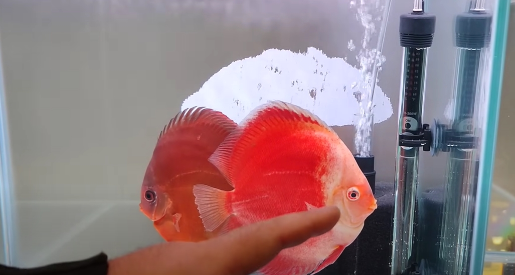 Судьи рассматривали самые мелкие нюансы участников