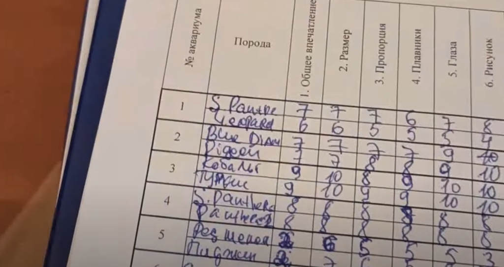 Судейский бланк оценивания