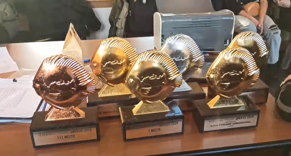 Статуэтки победителей чемпионата