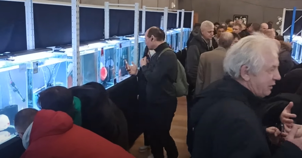 Зрители выбирают своих фаворитов