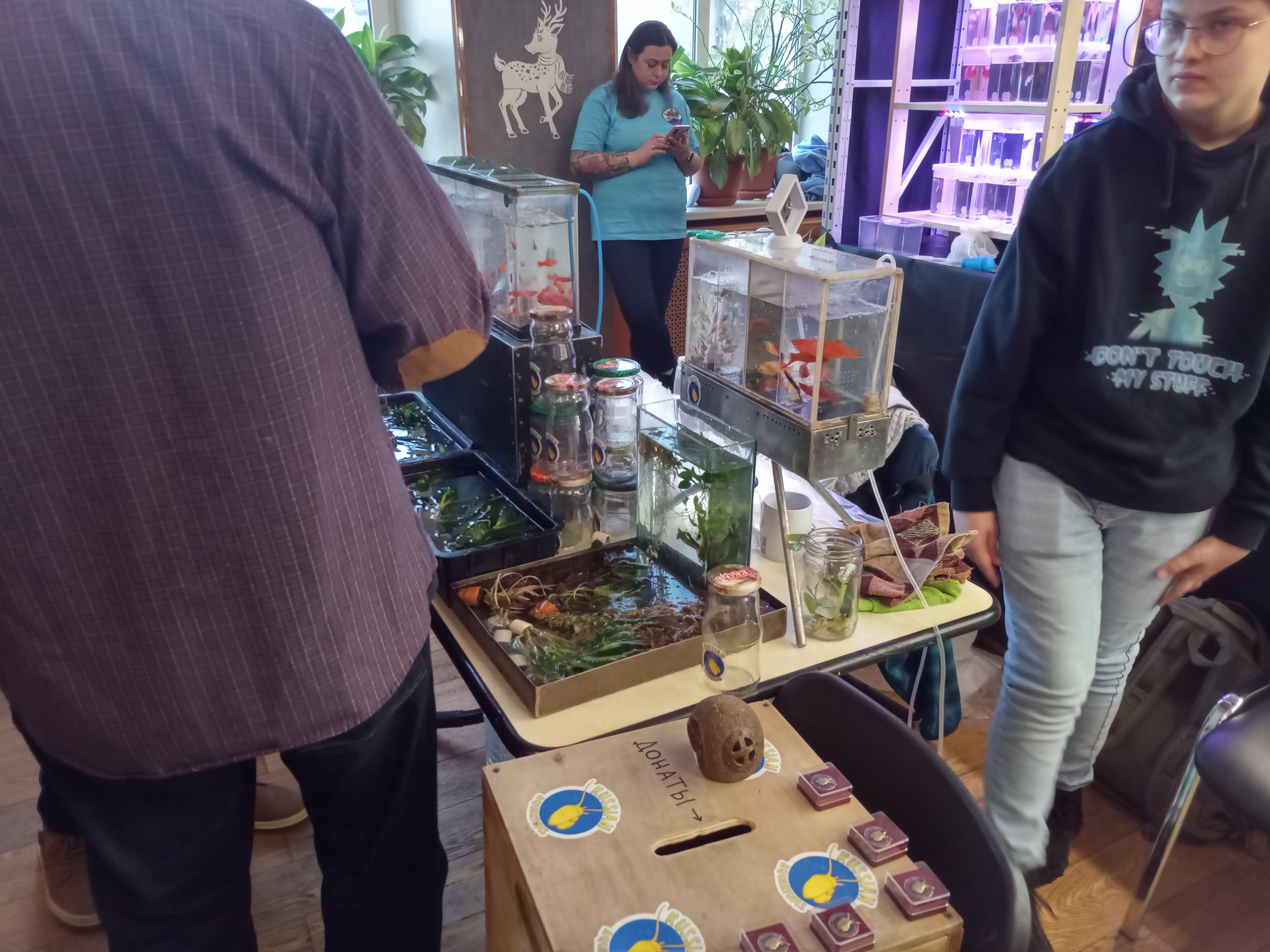 На выставке можно было купить рыбок, растения и декорации